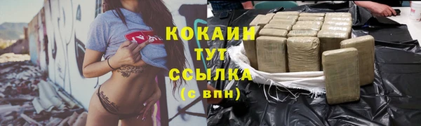 мдпв Волоколамск