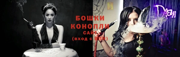 мдпв Волоколамск